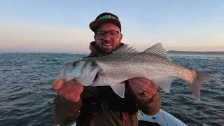 Miniature : Je Pêche le BAR avec AMINIAKK FISHING( caperlan sw)
