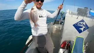 Miniature : Pêche du PAGRE et du SEVEREAUX en Méditerranée(avec le guide de pêche Fabien Fernandez Fishing)