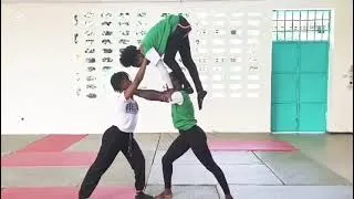 Miniature : Une portée en Acrogym. 