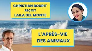 Miniature : Laila Del Monte : L’après-vie des animaux
