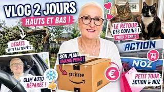 Miniature : Weekly Vlog N°26 - 🌪️ Tempête… puis le retour tant attendu des  2 Minouchats ! 🐱❤️ | Vlog 2 jours