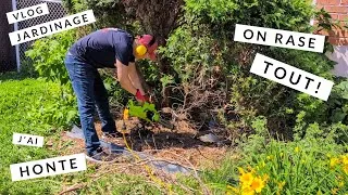 Miniature : VLOG| Jardin de Bleuets Devant la Maison! Jardinage avec Hop Dans Le Wok!