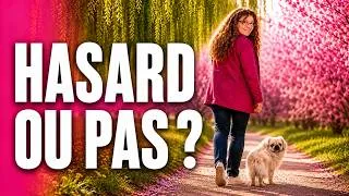 Miniature : ET SI VOTRE ANIMAL ARRIVAIT DANS VOTRE VIE POUR UNE RAISON ?