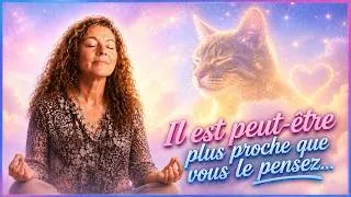 Miniature : 3 EXERCICES POUR RETROUVER L'IMAGE DE VOTRE ANIMAL DEFUNT