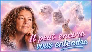 Miniature : 3 EXERCICES PUISSANTS POUR COMMUNIQUER AVEC VOTRE ANIMAL DÉFUNT