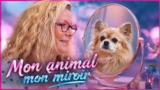 Miniature : MON ANIMAL, MON MIROIR : CE QUE LA MALADIE DE MON CHIEN M'A RÉVÉLÉ