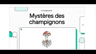 Miniature : Mystères des champignons