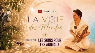 Miniature : Les soins énergétiques pour les animaux.