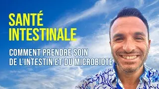 Miniature : SANTÉ INTESTINALE : COMMENT PRENDRE SOIN DE L’INTESTIN ET DU MICROBIOTE