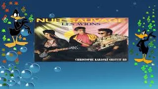Miniature : Les Avions  - Nuit sauvage