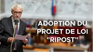 Miniature : Répondre aux troubles à l'ordre public - RIPOST