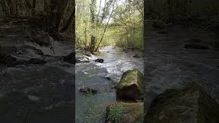 Miniature : 🧘‍♀️ Musique Zen & Relaxation — Piano, Guitare, Basse & Voix Douce (6 min)