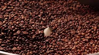 Miniature : Chronic. – Artisan coffee roasting in Switzerland