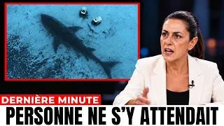 Miniature : Ils Ont Vu un Mégalodon de 120 Pieds au Large de l'Afrique du Sud — Aucun Bateau N'Osait Repartir