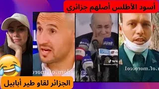 Miniature : الجزائر لقاو طير أبابيل وأسود الأطلس أصلهم جزائري😂 #youtube #youtubeshorts #المغرب #الجزائر