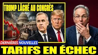 Miniature : Canada-Trump : la guerre tarifaire qui fait craquer les républicains