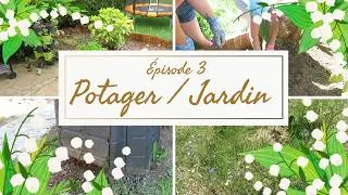 Miniature : POTAGER/JARDIN - Épisode 3...Pluie, canicule et des surprises !!!