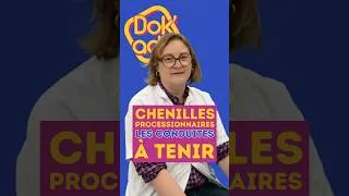 Miniature : Chenilles processionnaires : conduites à tenir
