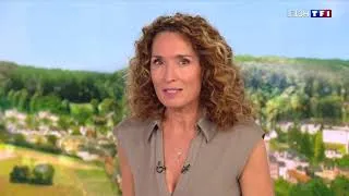 Miniature : Itw Pr. Schneider Médicaments anti-obésité TF1journal