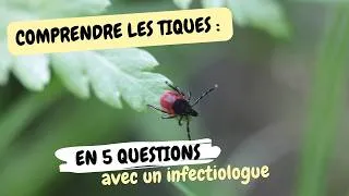 Miniature : Tiques : Tout savoir pour se protéger (Maladies, Symptômes, Traitements)