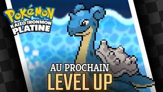Miniature : Ayez confiance en Transat il apprendra un SUPER MOVE très bientôt [Kaizo IronMon Platine]