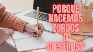 Miniature : EL PORQUE NACEMOS ZURDOS O DIESTROS EN LA VIDA#curiosidades