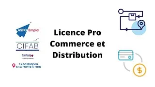 Miniature : Licence Professionnelle Commerce et Distribution