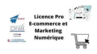 Miniature : Licence Professionnelle E-commerce et Marketing Numérique