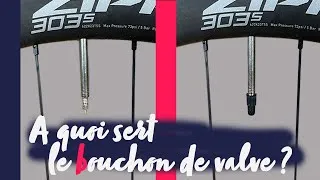 Miniature : A QUOI SERT LE BOUCHON DE VALVE ?