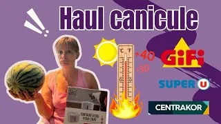 Miniature : Haul / Retour de courses : on suffoque avec la canicule 