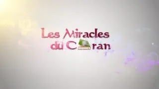 Miniature : Les Miracles du Coran | Le Big-Bang & L'expansion de l'Univers