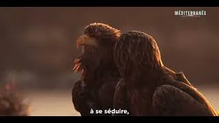 Miniature : Bande annonce de Méditerranée L'Odyssée pour la vie