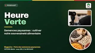 Miniature : Semences paysannes : cultiver notre souveraineté alimentaire avec l'agroécologie | CIPCRE-Bénin
