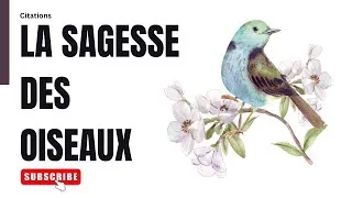 Miniature : Chants du Ciel : Citations et Proverbes Inspirants sur les Oiseaux 🕊️✨ #CitationsOiseaux #Sagesse