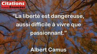 Miniature : La liberté est dangereuse, aussi difficile à vivre que passionnant. - Albert Camus