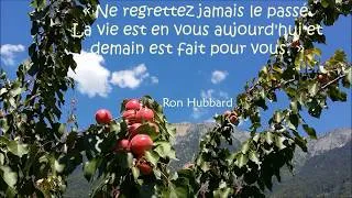 Miniature : Belles citations philosophiques