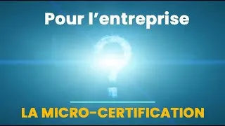 Miniature : Quel intérêt pour une entreprise de devenir émetteur de micro-certifications ?