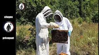 Miniature : Épisode 2 : Se former en apiculture bio et eco responsable