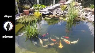 Miniature : Entretien annuel du système aquaponique.
