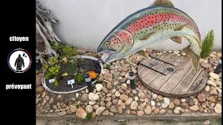 Miniature : Élevage de truites bio du jardin. Bilan, récolte, retour d'expérience