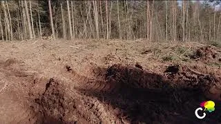 Miniature : Coupe rase en Corrèze : des riverains racontent le choc