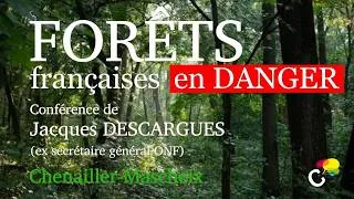 Miniature : Coupes rases et biomasse : la forêt va-t-elle disparaître ? Conférence Jacques Descargues (ex-ONF)