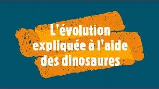 Miniature : l'évolution expliquée à l'aide des dinosaures