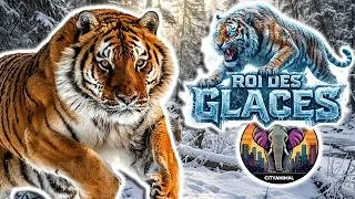 Miniature : Tigre de Sibérie | Documentaire Animalier