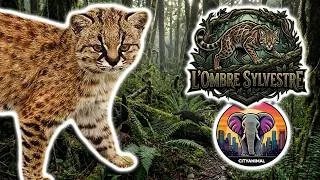 Miniature : Guigna | Documentaire Animalier