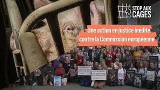 Miniature : Stop à l’ère des cages : pour les animaux et pour la démocratie dans l'Union europénne #EndTheCage