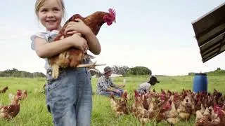 Miniature : CIWF France - Ensemble, nous avons remporté de belles victoires !