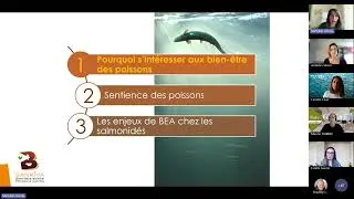 Miniature : Webinaire "Bien-être des poissons, un levier pour une pisciculture durable" (replay 3 juillet 2025)
