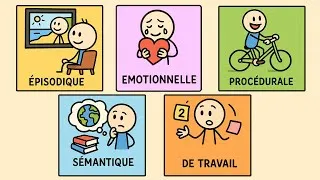 Miniature : 5 FAÇONS dont votre cerveau stocke les souvenirs