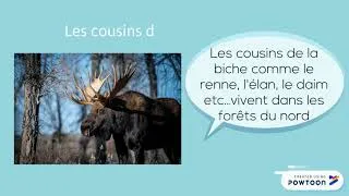 Miniature : La biche animal de la forêt